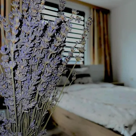 Apartament Къща За Гости “Стоянови “ *